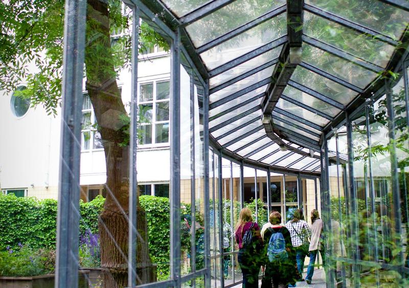 Stayokay Hostel Amsterdam Vondelpark - image 12