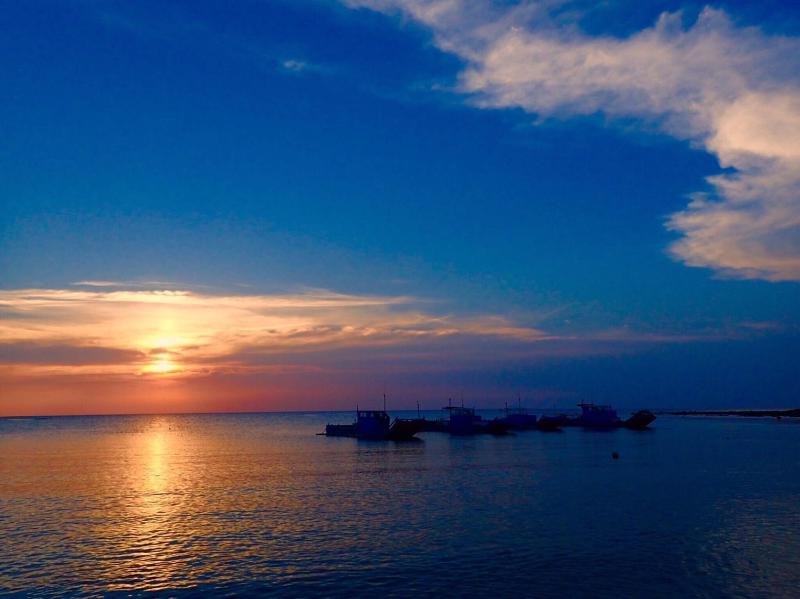 Blue Ocean Sunny BS - image 7