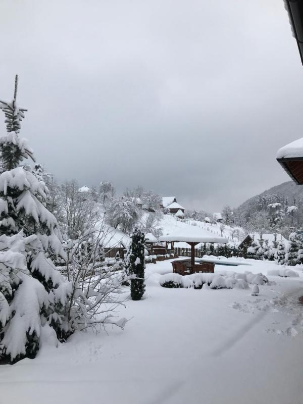 Zlatibor Resort & Spa - image 2