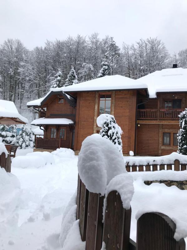 Zlatibor Resort & Spa - image 10