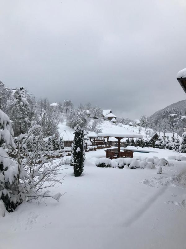 Zlatibor Resort & Spa - image 16