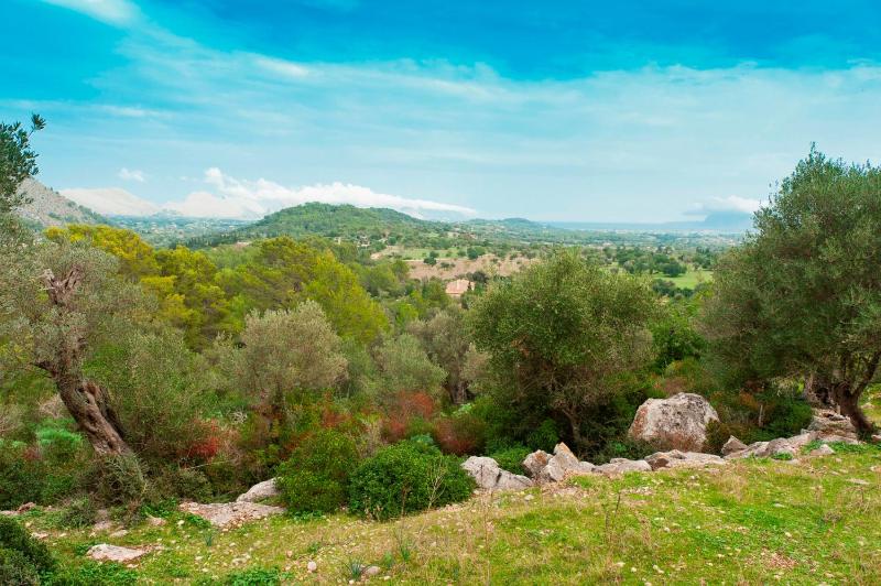 Can Guillo - image 15