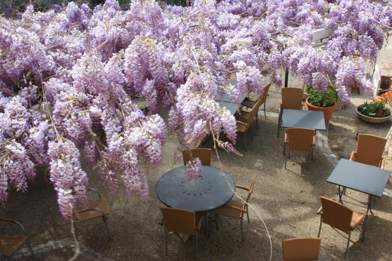 Logis Hotel la Ferme - image 33