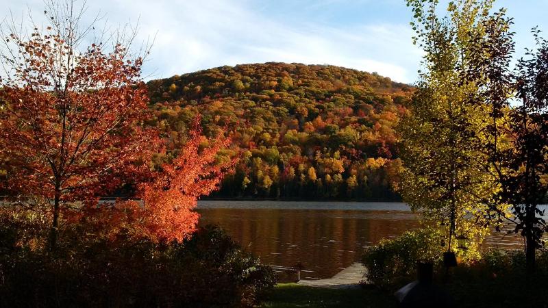 Chalets Laurentides Mont-Tremblant - image 11