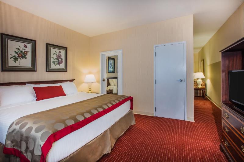 One-Bedroom King Suite - Non-Smoking image 2