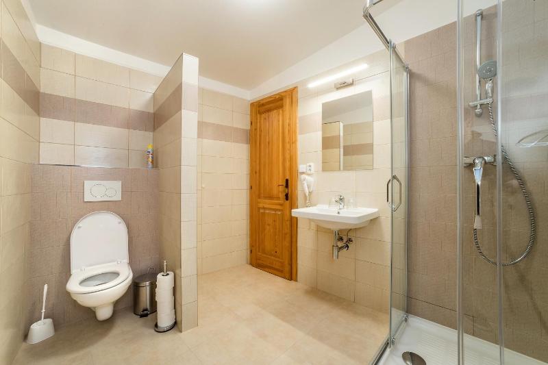 Comfort Apartment image 4