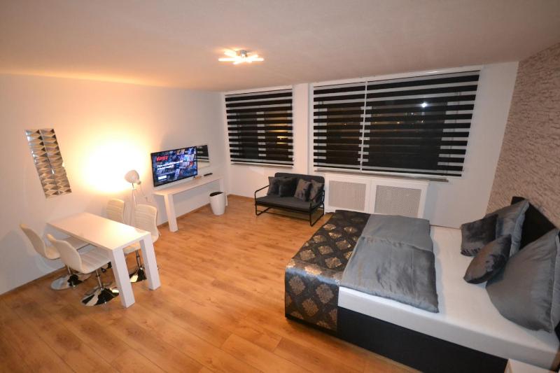 One-Bedroom Apartment image 1