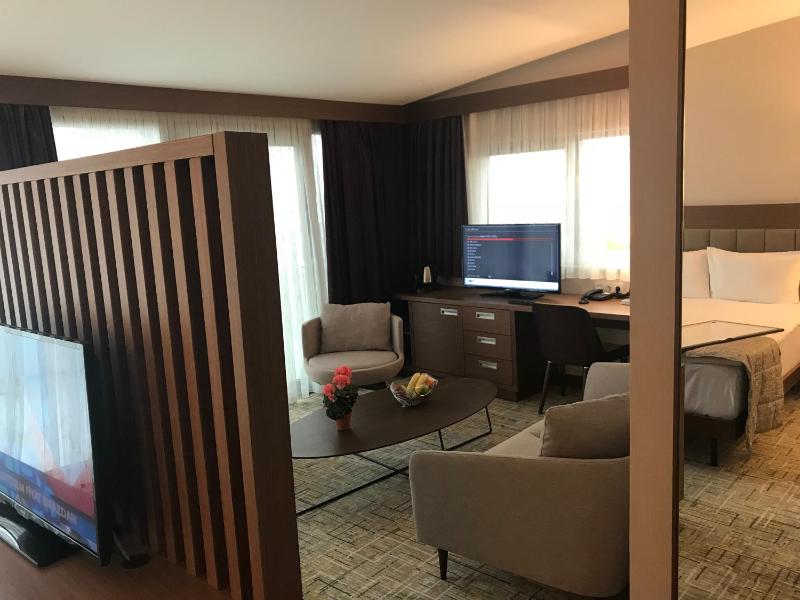 Suite with Terrace image 3