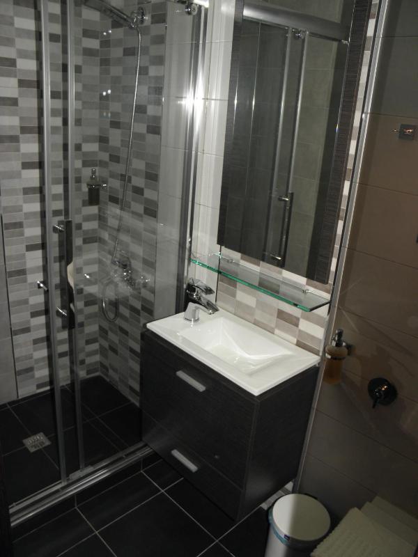 Double or Twin Room image 4