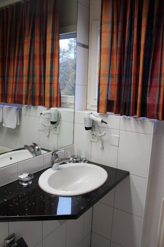 Double or Twin Room image 4