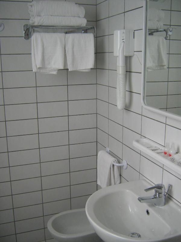 Double or Twin Room image 1