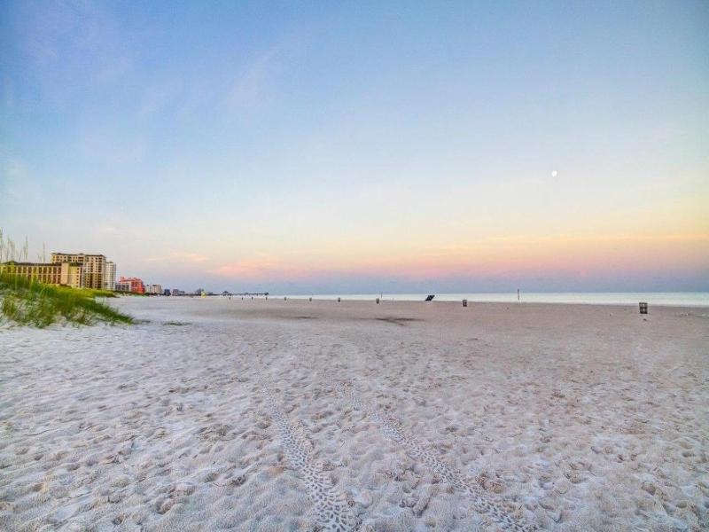 Surfside Condos 202 - image 28