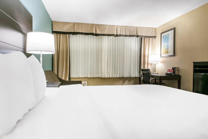 King Room with Sofa Bed - Non-Smoking image 4