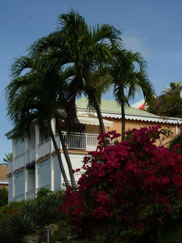 Studio Mimosa - image 9