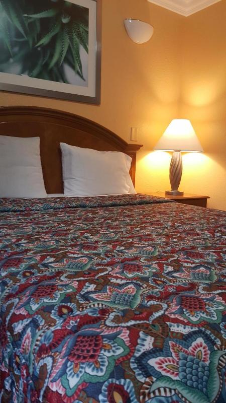 Deluxe Queen Room image 2