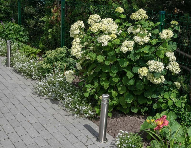 Vėjo Burė gyvenamosios paskirties patalpų nuoma - image 25
