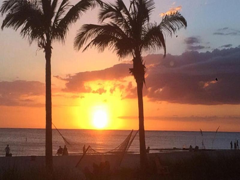 Gone Beaching 202 - image 16