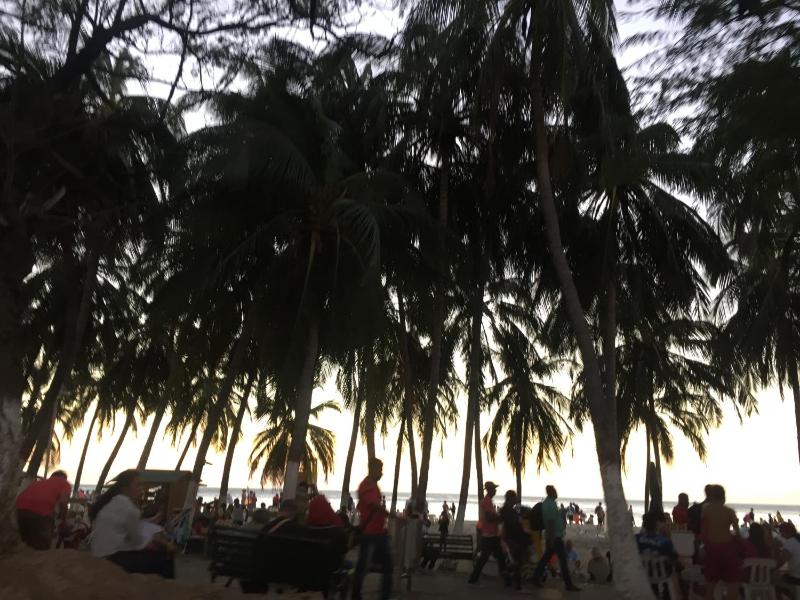 Perla del Caribe - image 10
