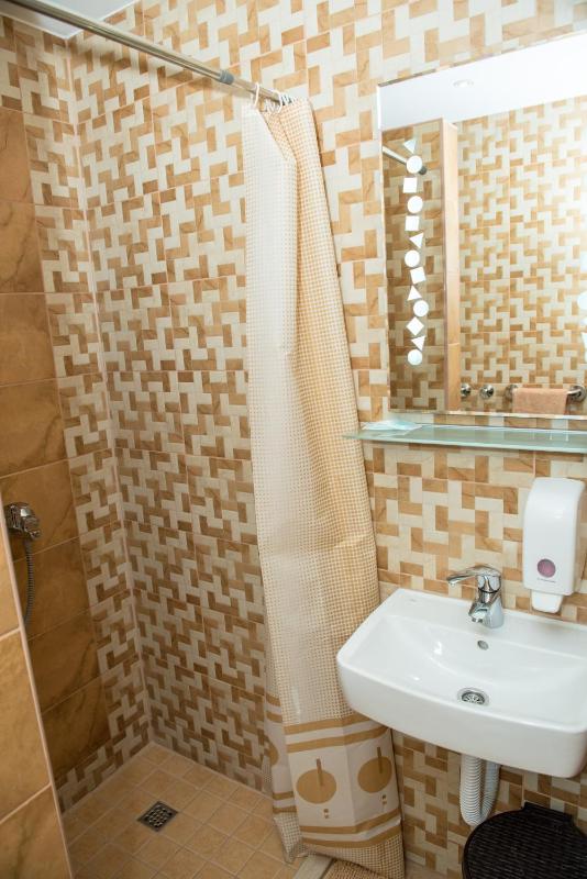 Standard Twin Room image 2