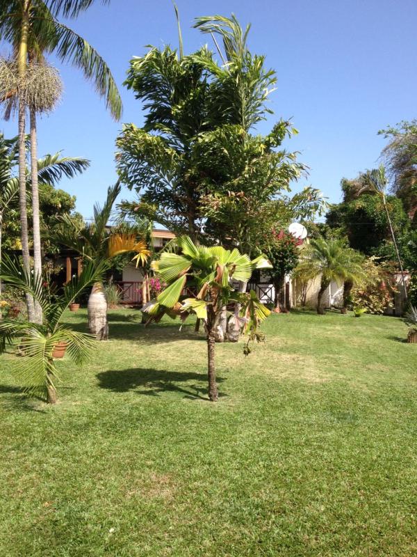 Le bungalow des bougainvilliers - image 10