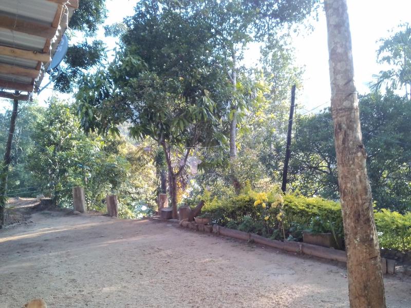 Jaye Homestay - image 10