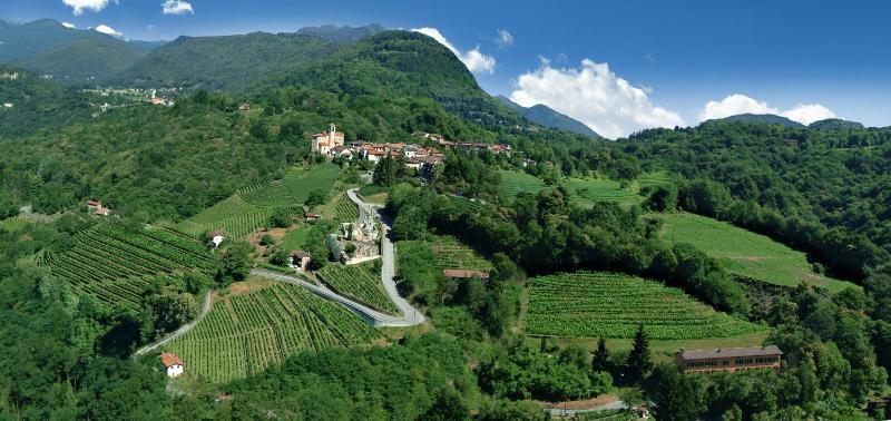 Wine & Art Relais Vallombrosa - image 7