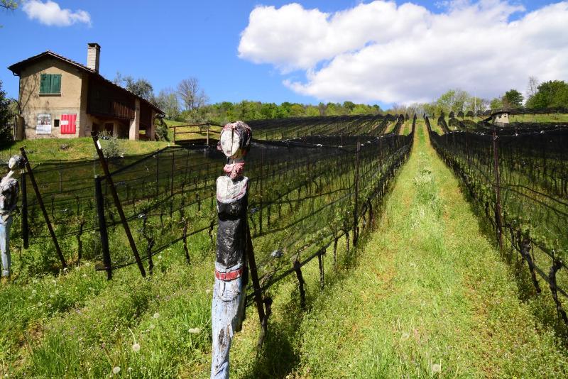 Wine & Art Relais Vallombrosa - image 32