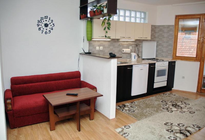Apartment with Balcony image 1