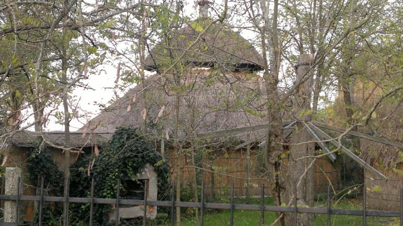 Hotel Erika - image 27
