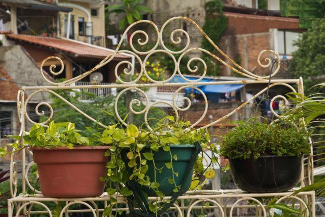 Oasis Hostel - image 6