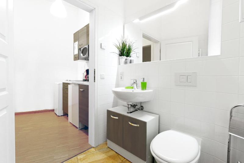 Standard One-Bedroom Apartment image 4