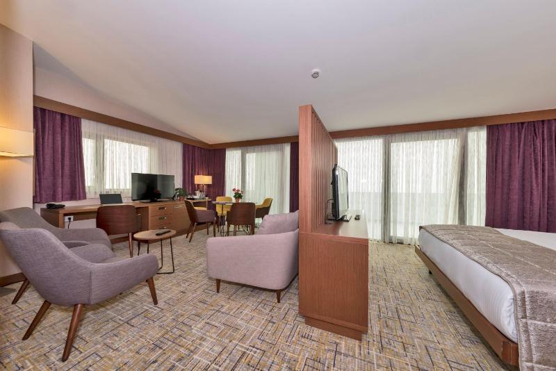 Suite with Terrace image 4
