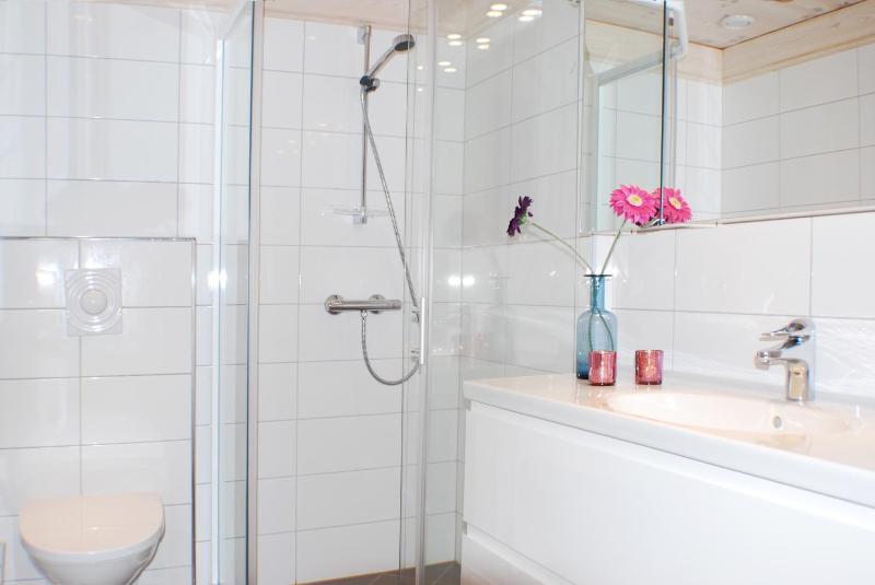 Family cabin 3 bedroom image 4