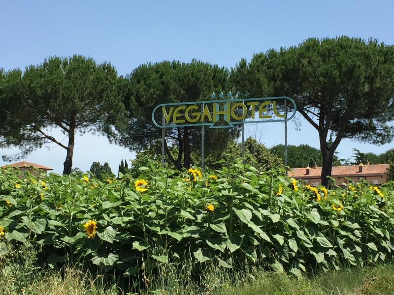 Hotel Vega Perugia - image 26