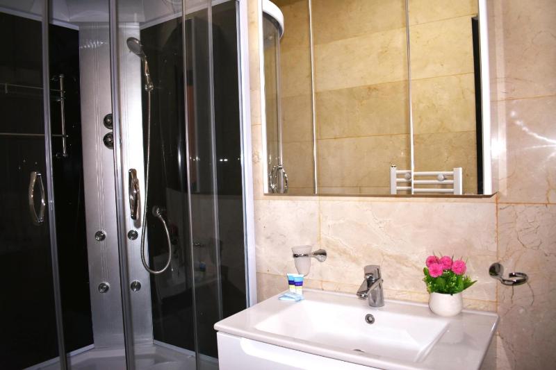 Studio Apartment image 3