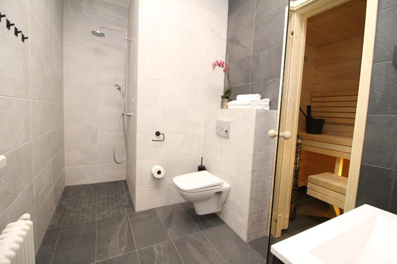 Two-Bedroom Apartment with Small Balcony and Old Town View C46 image 4