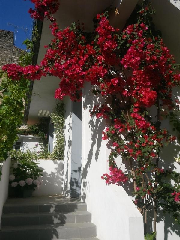 Le Clos Chez Michel - image 3
