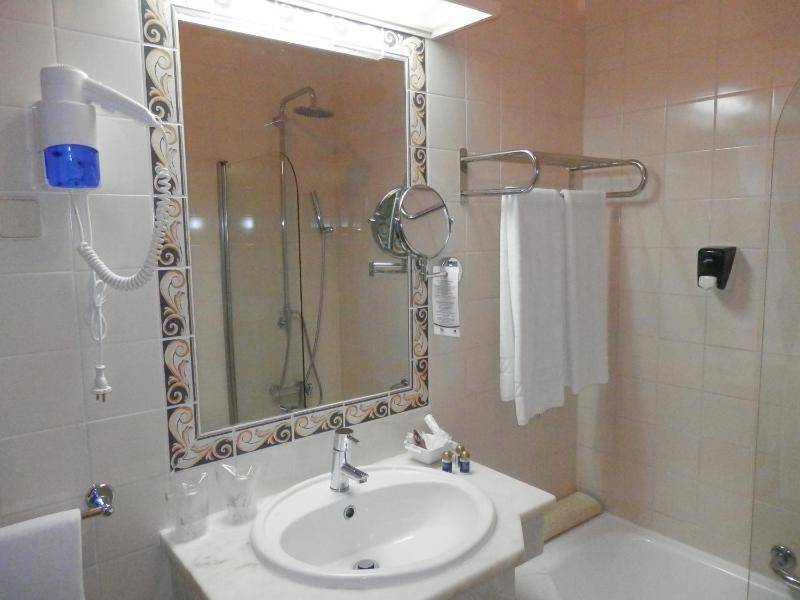 Double or Twin Room image 3
