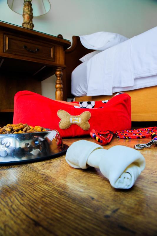 Porta Hotel Antigua - image 6