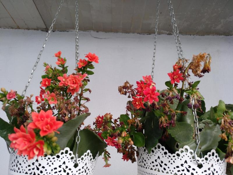 O'Porto Seven - Guest House - image 19