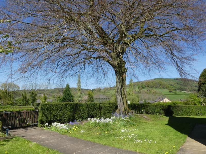 Holiday Home image 2