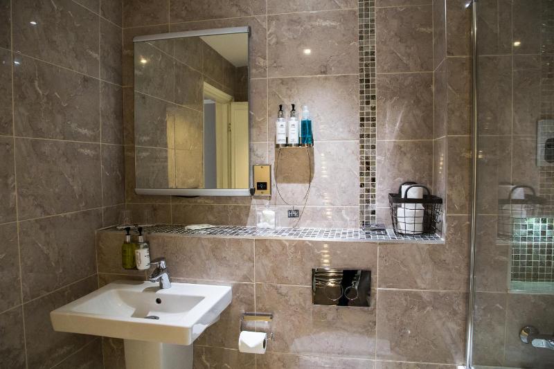 Deluxe King or Twin Room image 4