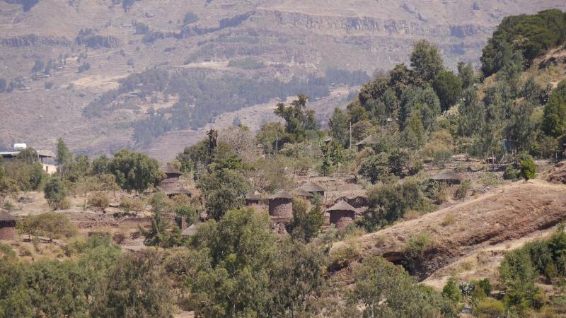 Zagwe Hotel - image 10