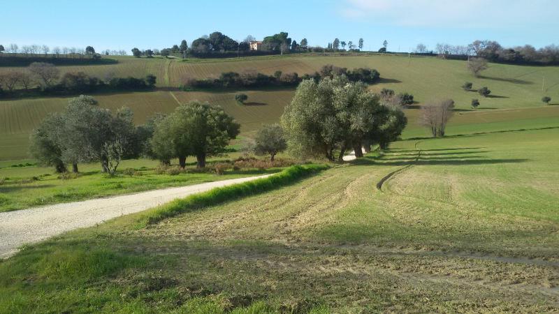 Conero mare campagna il Casale Le Maschere appartamenti - image 26