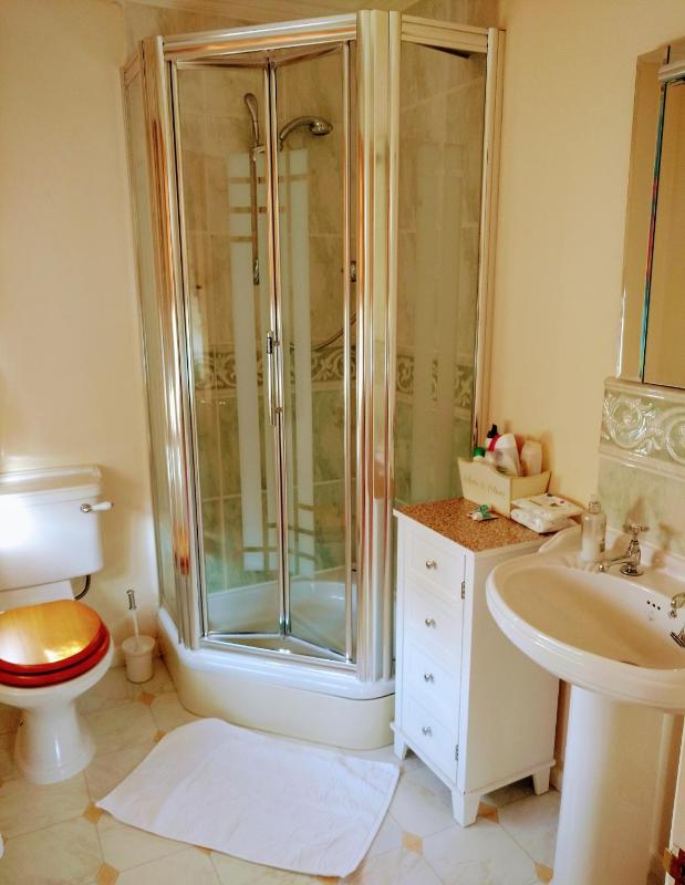 Deluxe Suite image 4