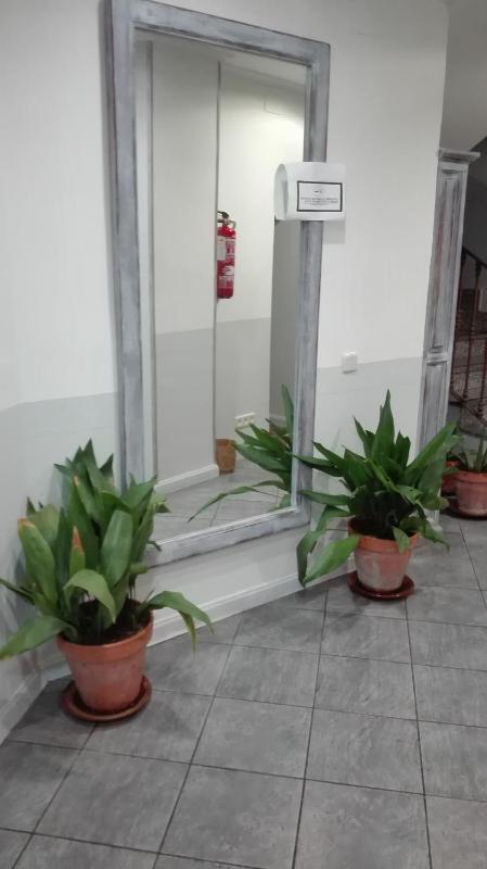 Hostal La Campana - image 14