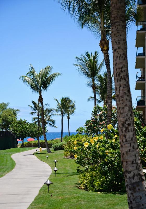 Honua Kai #316 - image 15