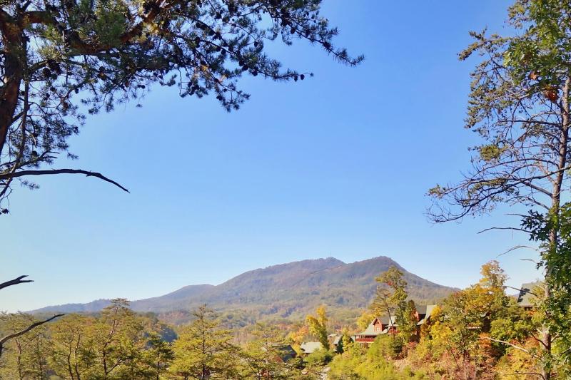 Luxurious Log Cabin Nestled in the Great Smoky Mountains - image 9