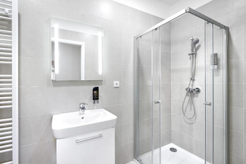 One-Bedroom Apartment image 3