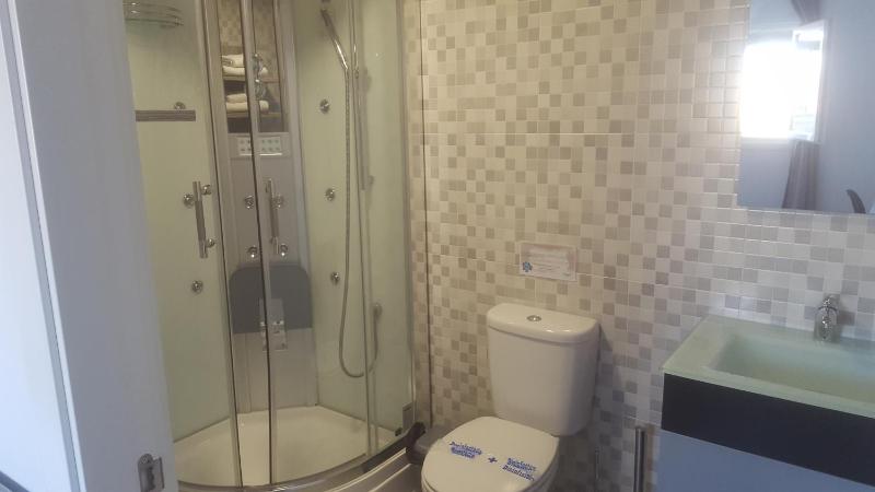 Deluxe Double or Twin Room image 2